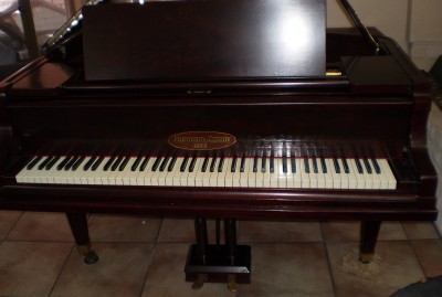 Grand Piano - front open