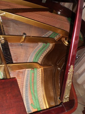 Grand piano - inside.jpg