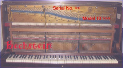 Bechstein10.jpg