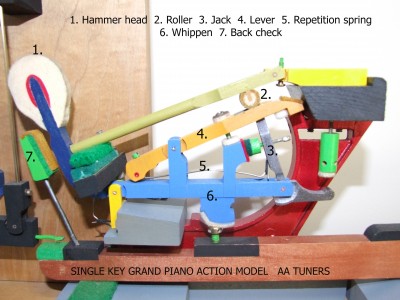 Grand action model.jpg