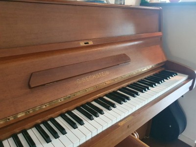 Bechstein2.jpg