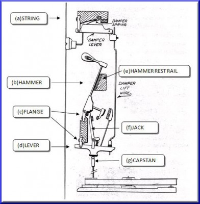 Overdamped Model.JPG