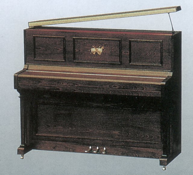 salisbury_piano.jpg - 77868 Bytes