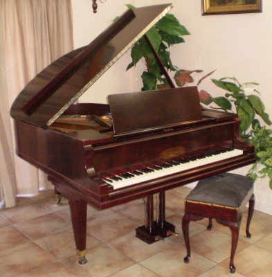 Grand Piano - open.jpg